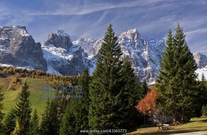 : 80179336 The Cime Undici and Monte Popera from the : 80179336 The Cime Undici and Monte Popera from the