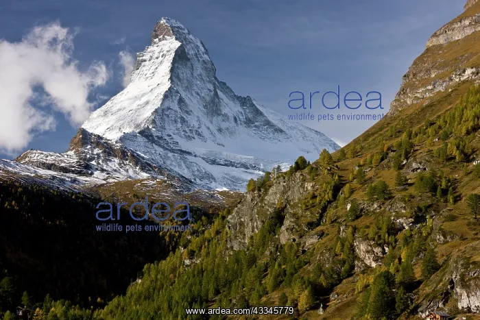 : 80179337 Matterhorn / Monte Cervino - Alps border : 80179337 Matterhorn / Monte Cervino - Alps border