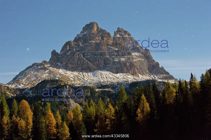 : 80179341 The Tree Cime di Lavaredo / Drei Zinnen : 80179341 The Tree Cime di Lavaredo / Drei Zinnen