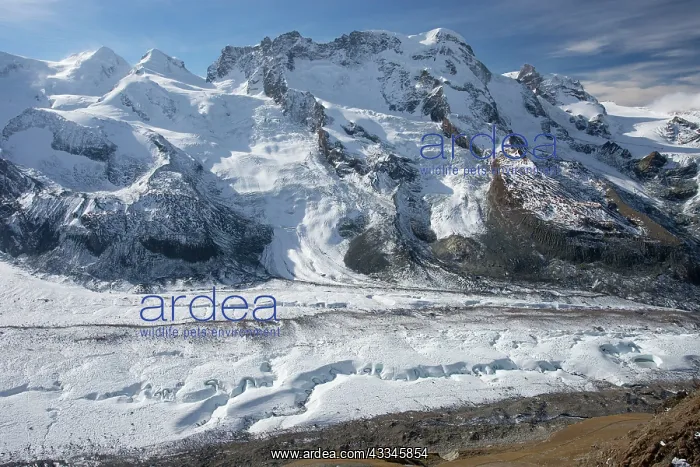 : 80179351 The Gorner Glacier / Gornergletscher below : 80179351 The Gorner Glacier / Gornergletscher below