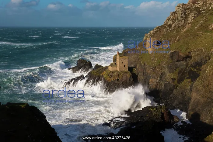: 80179638 Crowns Engine Houses - as shown in TV series : 80179638 Crowns Engine Houses - as shown in TV series