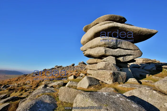 : 80179642 Cheesewring Tor, Bodmin Moor, Cornwall : 80179642 Cheesewring Tor, Bodmin Moor, Cornwall