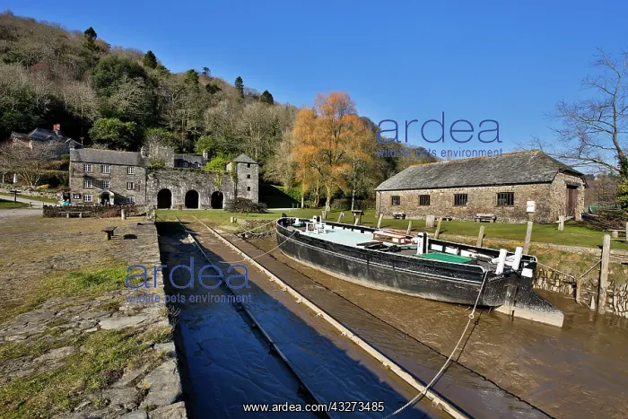 : 80179647 Cotehele Quay Cornwall, UK David Chapman : 80179647 Cotehele Quay Cornwall, UK David Chapman