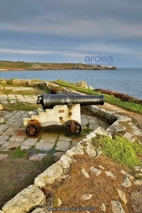 : 80179653 The Garrison St Mary's, Isles of Scilly : 80179653 The Garrison St Mary's, Isles of Scilly