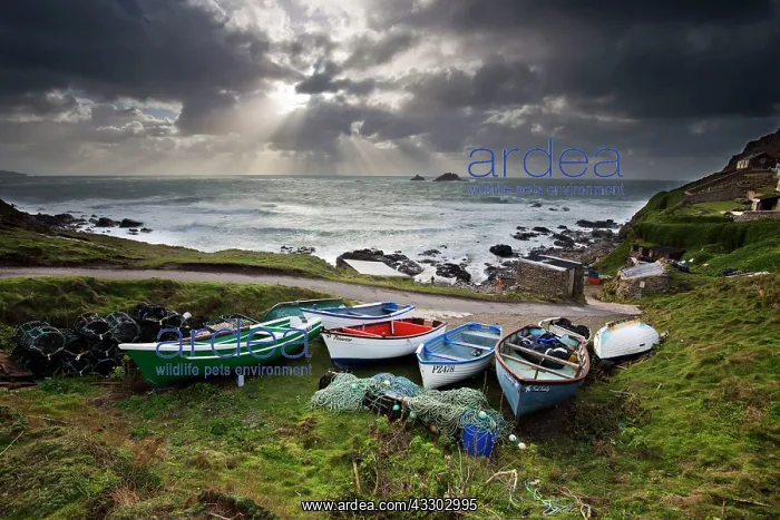 : 80179690 Priest Cove - with rowing boats near Cape : 80179690 Priest Cove - with rowing boats near Cape