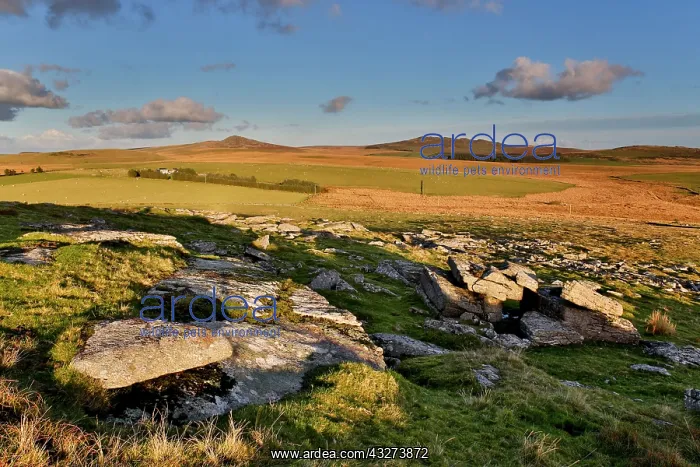 : 80179711 Rough Tor and Brown Willy - view from Alex : 80179711 Rough Tor and Brown Willy - view from Alex