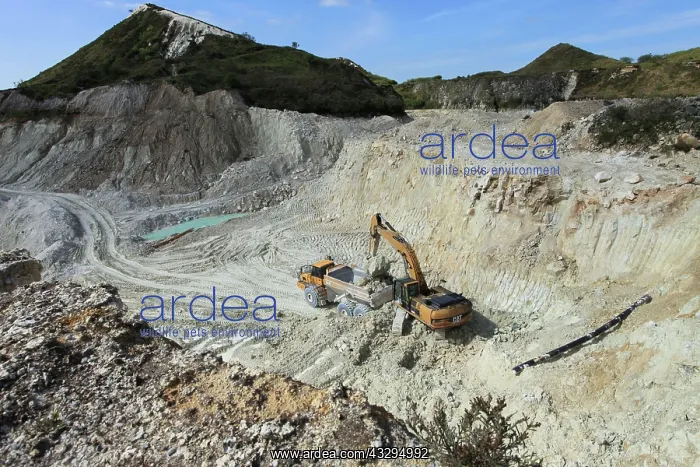 : 80179713 Cornish China Clay Quarry - extraction : 80179713 Cornish China Clay Quarry - extraction