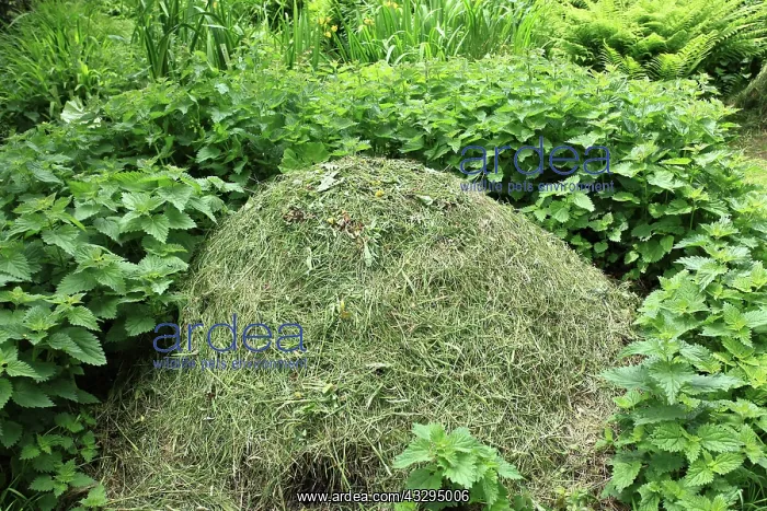 : 80179715 Compost Heap - wildlife-friendly compost : 80179715 Compost Heap - wildlife-friendly compost