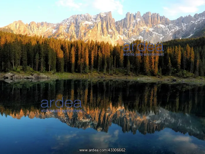 : 80180249 Karersee Lake - with reflections of Mount : 80180249 Karersee Lake - with reflections of Mount