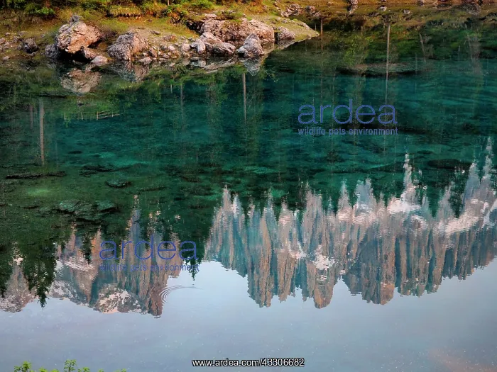 : 80180251 Karersee Lake - with reflections of Mount : 80180251 Karersee Lake - with reflections of Mount