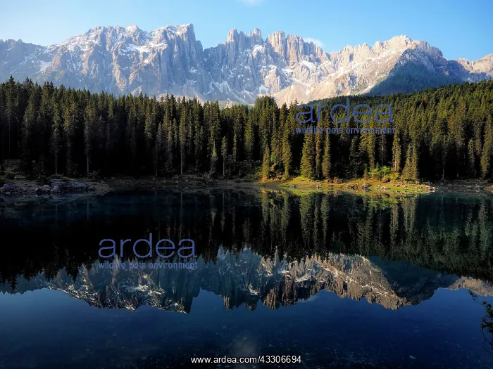 : 80180252 Karersee Lake - with reflections of Mount : 80180252 Karersee Lake - with reflections of Mount