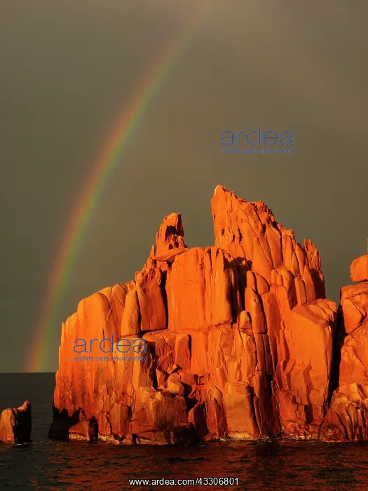 : 80180291 Red Porphyry Rocks - in sunset glow with : 80180291 Red Porphyry Rocks - in sunset glow with