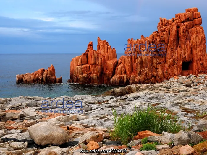 : 80180293 Red Porphyry Rocks - in sunset glow with : 80180293 Red Porphyry Rocks - in sunset glow with