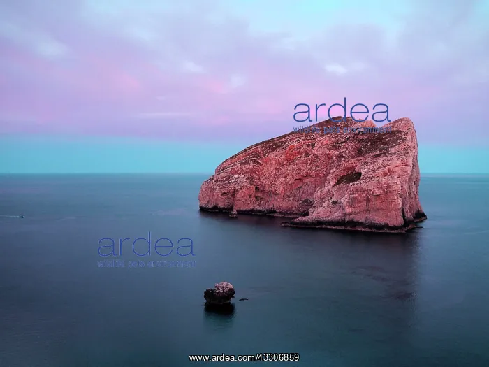 : 80180297 Seascape Capo Gaccia, Sardinia, Italy : 80180297 Seascape Capo Gaccia, Sardinia, Italy