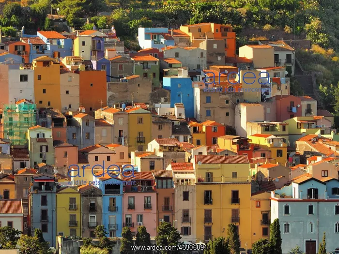  : 80180300 Bosa - town Sardinia, Italy Stefan Meyers