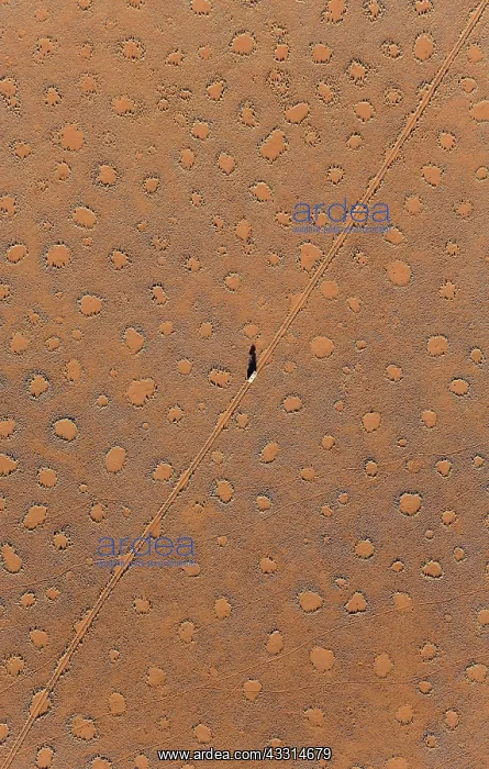 : 80180315 Namib Desert - vehicle crossing sandy plain : 80180315 Namib Desert - vehicle crossing sandy plain