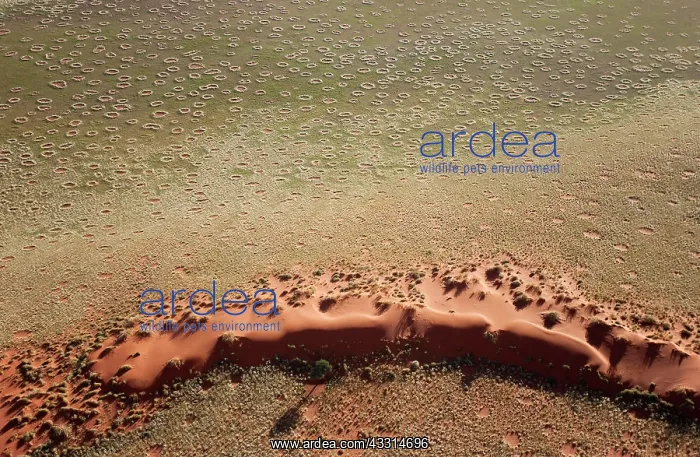 : 80180319 Namib Desert - with so-called Fairy Circles : 80180319 Namib Desert - with so-called Fairy Circles