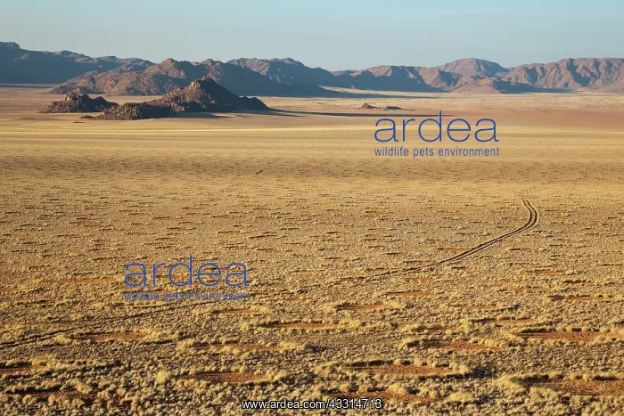 : 80180323 Namib Desert - with so-called Fairy Circles : 80180323 Namib Desert - with so-called Fairy Circles