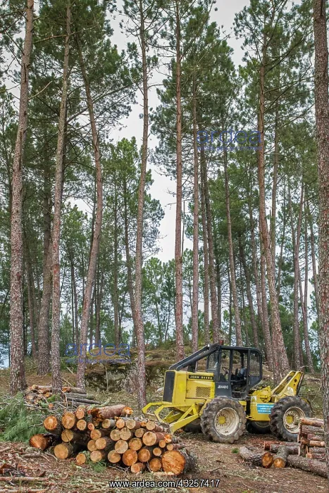 : 80180516 Lumber Industry - tractor moving logs on : 80180516 Lumber Industry - tractor moving logs on