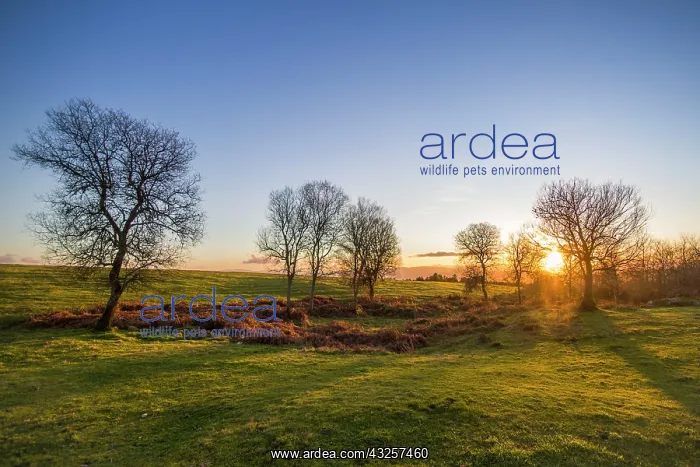 : 80180523 Sunset Allariz, Galicia, Spain Brais Seara : 80180523 Sunset Allariz, Galicia, Spain Brais Seara