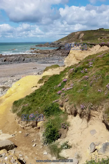  : 80181229 Beach - (area used in TV series Poldark)