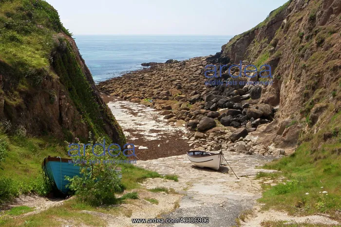 : 80181232 Porthgwarra - small coastal hamlet - (area : 80181232 Porthgwarra - small coastal hamlet - (area