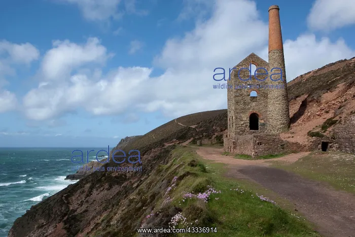 : 80181235 The Towanroath Engine House - (area used : 80181235 The Towanroath Engine House - (area used