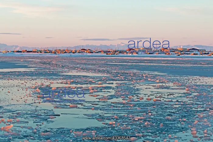 : 80181523 Frozen lagoon and sea pack ice formation : 80181523 Frozen lagoon and sea pack ice formation