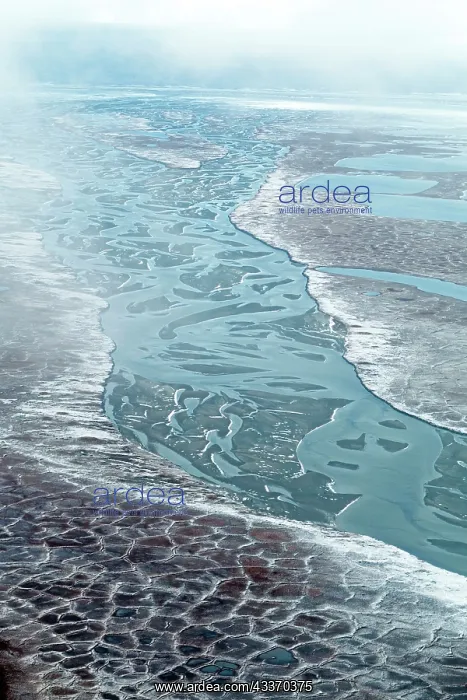 : 80181624 United States - frozen lagoon and sea pack : 80181624 United States - frozen lagoon and sea pack