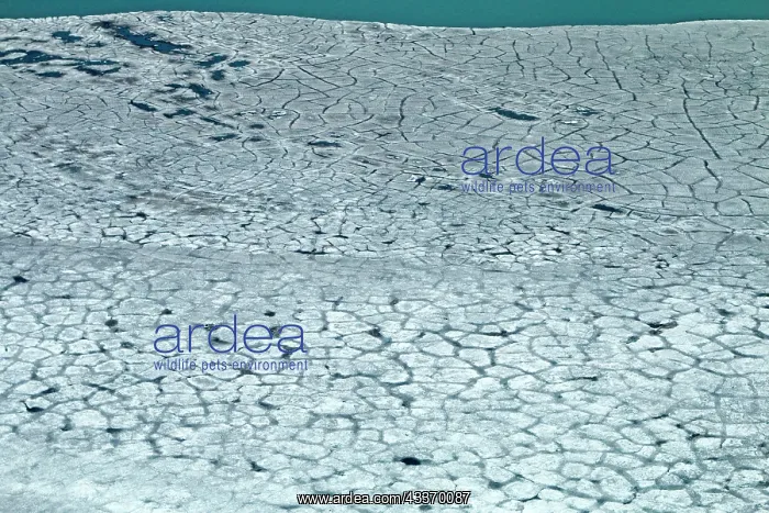 : 80181626 United States - frozen lagoon and sea pack : 80181626 United States - frozen lagoon and sea pack