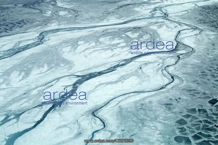 : 80181627 United States - frozen lagoon and sea pack : 80181627 United States - frozen lagoon and sea pack