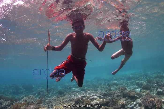 : 80182204 Spear fishermen - boy and young man with : 80182204 Spear fishermen - boy and young man with