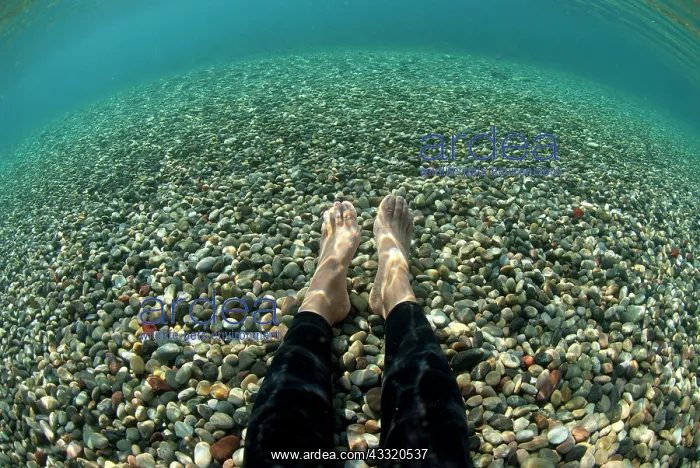 : 80182243 Pebble Beach - legs of diver (model released) : 80182243 Pebble Beach - legs of diver (model released)