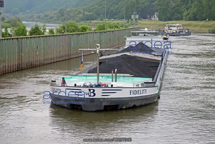 : 80183327 Barge - transporting coal Mosel River : 80183327 Barge - transporting coal Mosel River