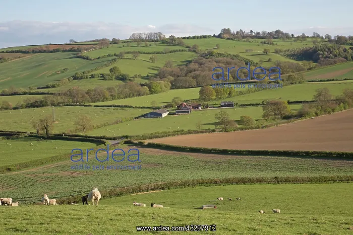 : 80183328 Farm Colemans Hill, Mickleton, The Cotswolds : 80183328 Farm Colemans Hill, Mickleton, The Cotswolds
