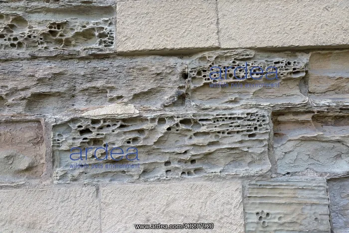  : 80183329 Weathered Stone Chancery Building, Durham