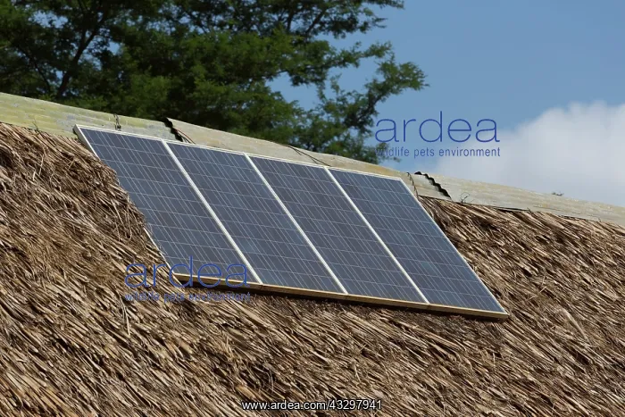 : 80183332 Solar PV Panels - on roof of park entrance : 80183332 Solar PV Panels - on roof of park entrance