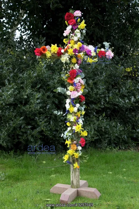 : 80183333 Easter Cross - covered in colourful flowers : 80183333 Easter Cross - covered in colourful flowers