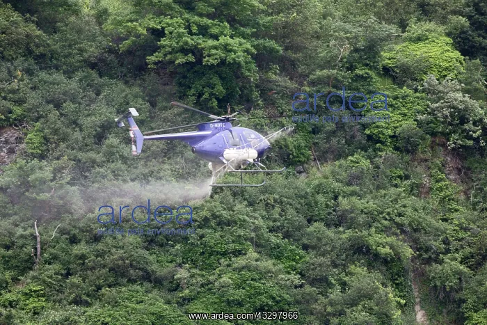 : 80183335 Helicopter - spraying vineyards Mosel Valley : 80183335 Helicopter - spraying vineyards Mosel Valley