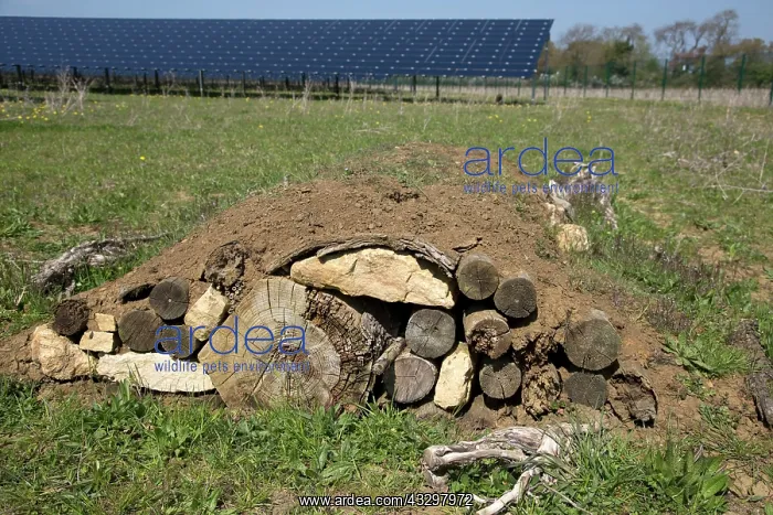 : 80183336 Hibernaculum - artificial mound of logs : 80183336 Hibernaculum - artificial mound of logs