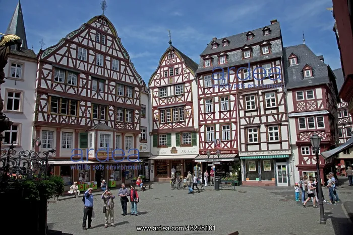 : 80183357 Half timbered Houses - and shops in market : 80183357 Half timbered Houses - and shops in market