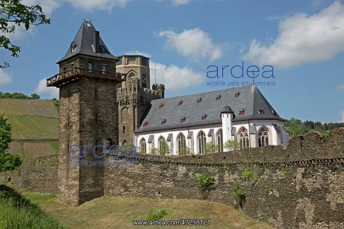  : 80183360 Tower and Old Twn Wall Church St. Martin