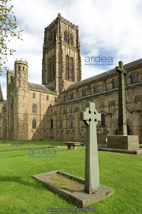 : 80183361 Celtic Cross outside Durham Cathedral : 80183361 Celtic Cross outside Durham Cathedral