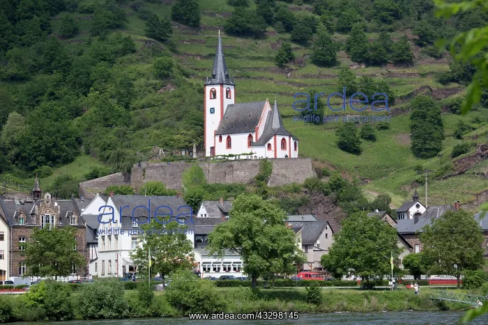 : 80183364 Catholic Church of St John St. Johannes : 80183364 Catholic Church of St John St. Johannes