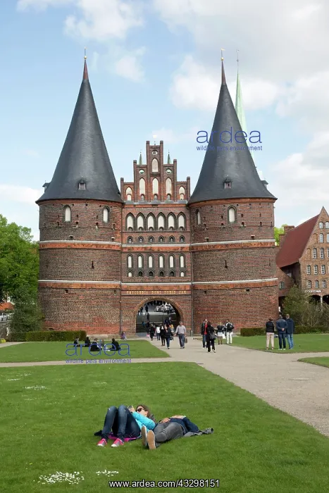 : 80183365 Holstentor Holsten Gothic City Gate - UNESCO : 80183365 Holstentor Holsten Gothic City Gate - UNESCO