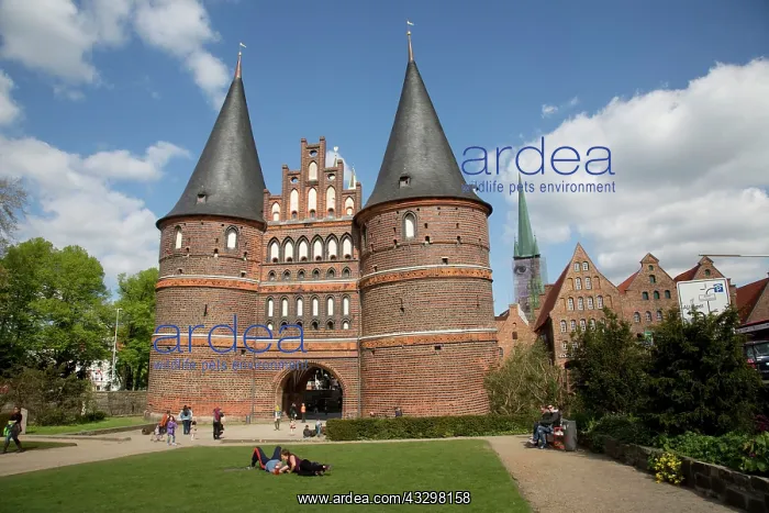 : 80183366 Holstentor Holsten Gothic City Gate - UNESCO : 80183366 Holstentor Holsten Gothic City Gate - UNESCO
