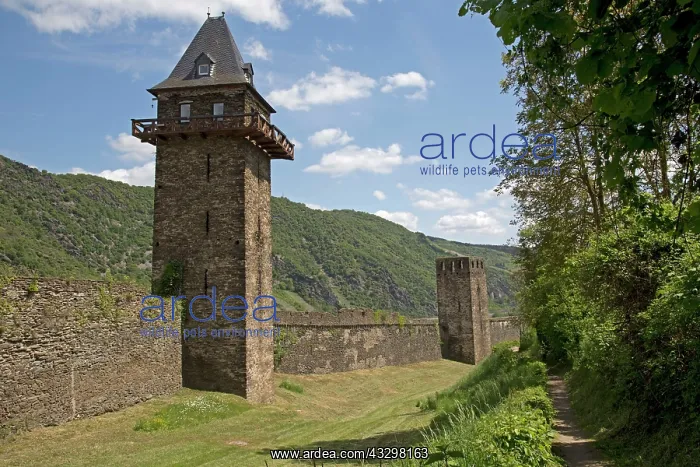 : 80183367 Tower and Old Town Wall - Oberwesel UNESCO : 80183367 Tower and Old Town Wall - Oberwesel UNESCO