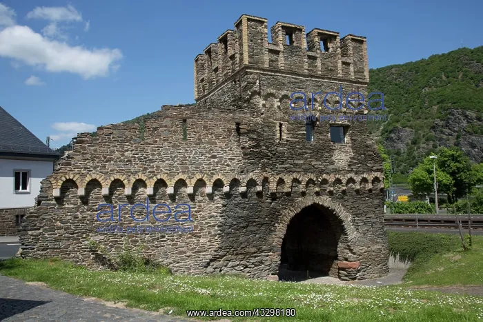 : 80183369 Oberwesel UNESCO Heritage Site - remains : 80183369 Oberwesel UNESCO Heritage Site - remains