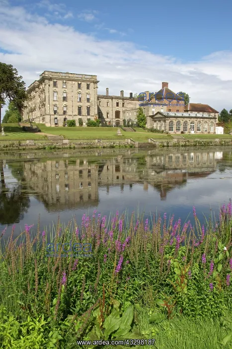  : 80183370 Stonleigh Abbey - founded by the Cistercians