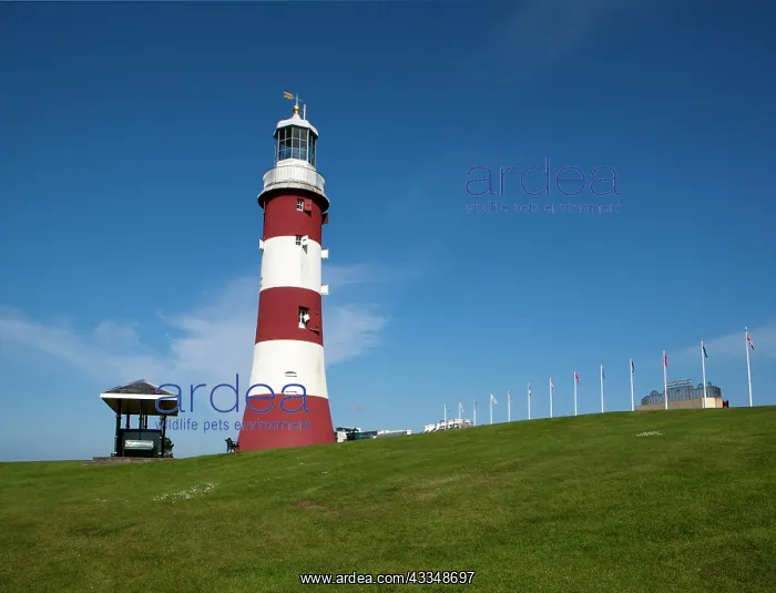 : 80183383 Smeaton's Tower - third and most notable : 80183383 Smeaton's Tower - third and most notable
